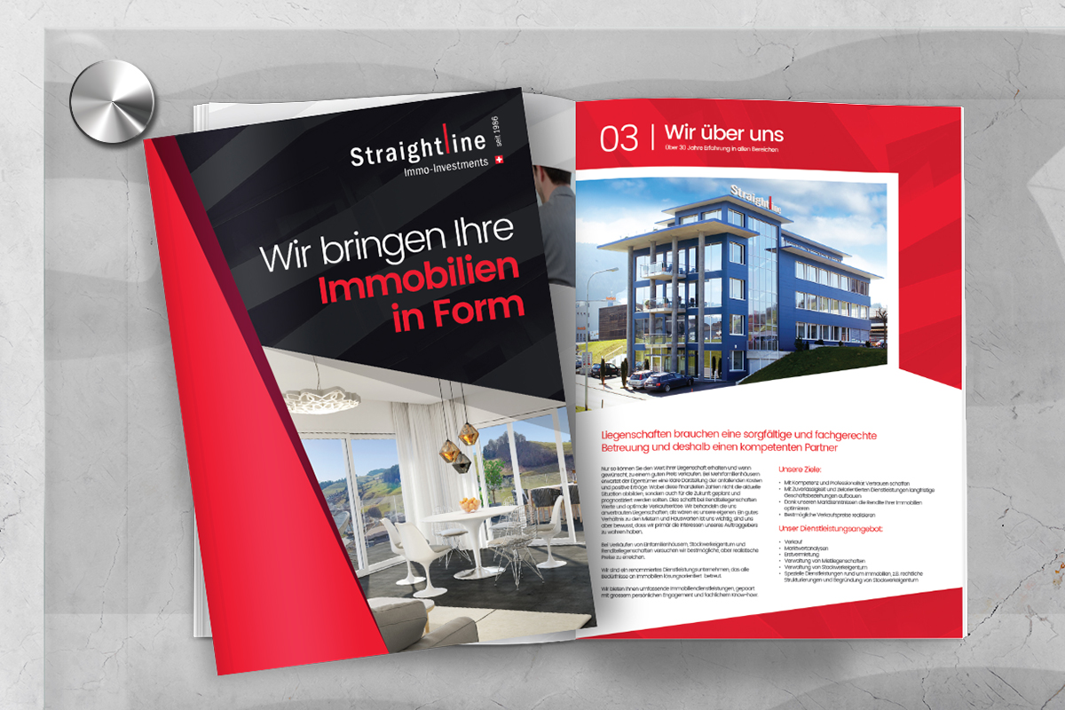 [Flyer] Straightline Investment AG